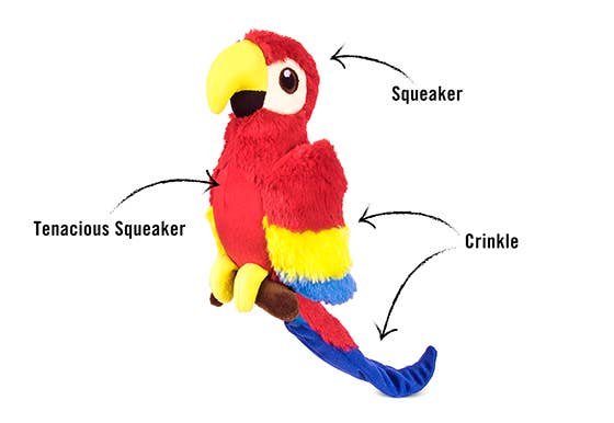 Fetching Flock - Parrot