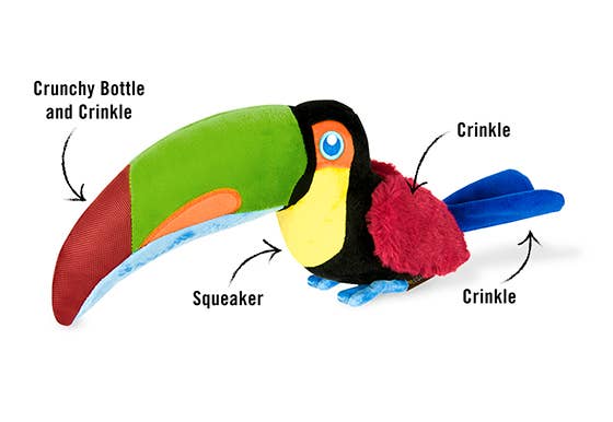 Fetching Flock - Toucan