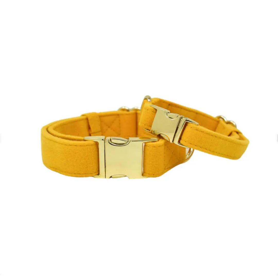 Nova - Mustard Yellow Dog Collar