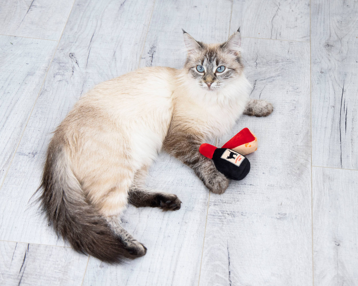 Cheese and Wine Cat Toys, Set Of 2