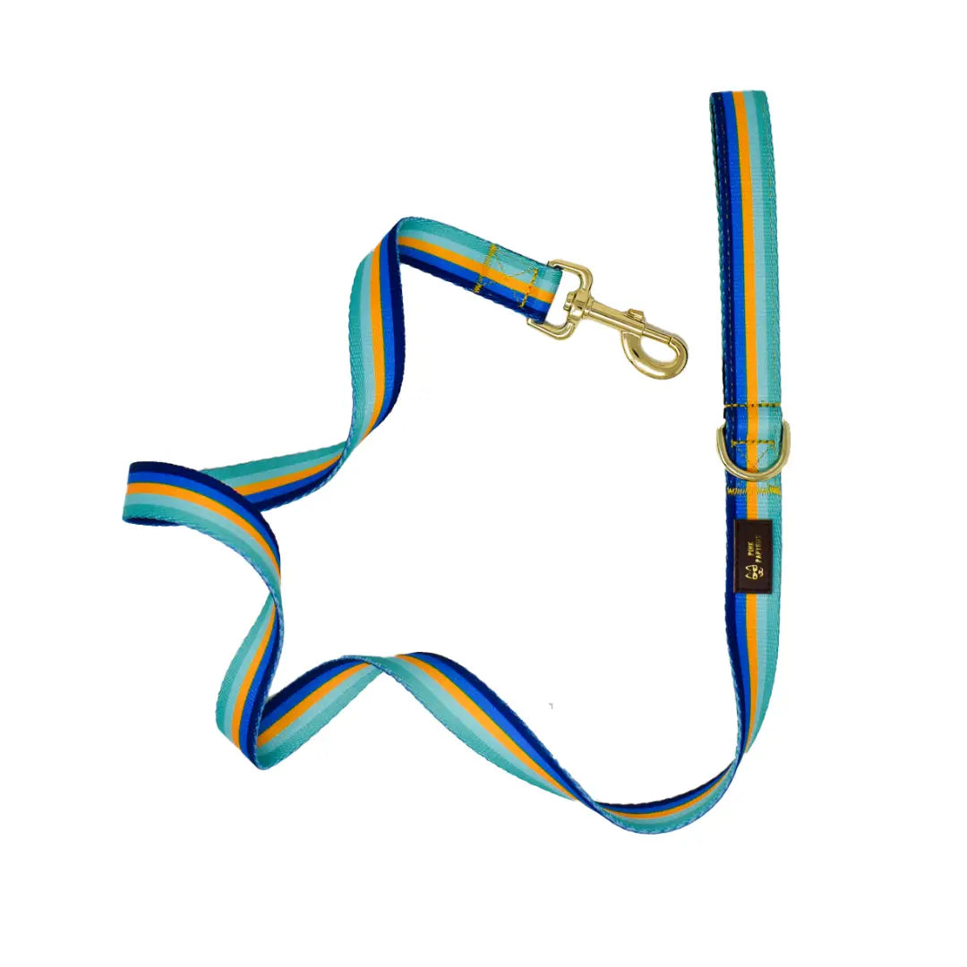 Milo Stripe Dog Leash