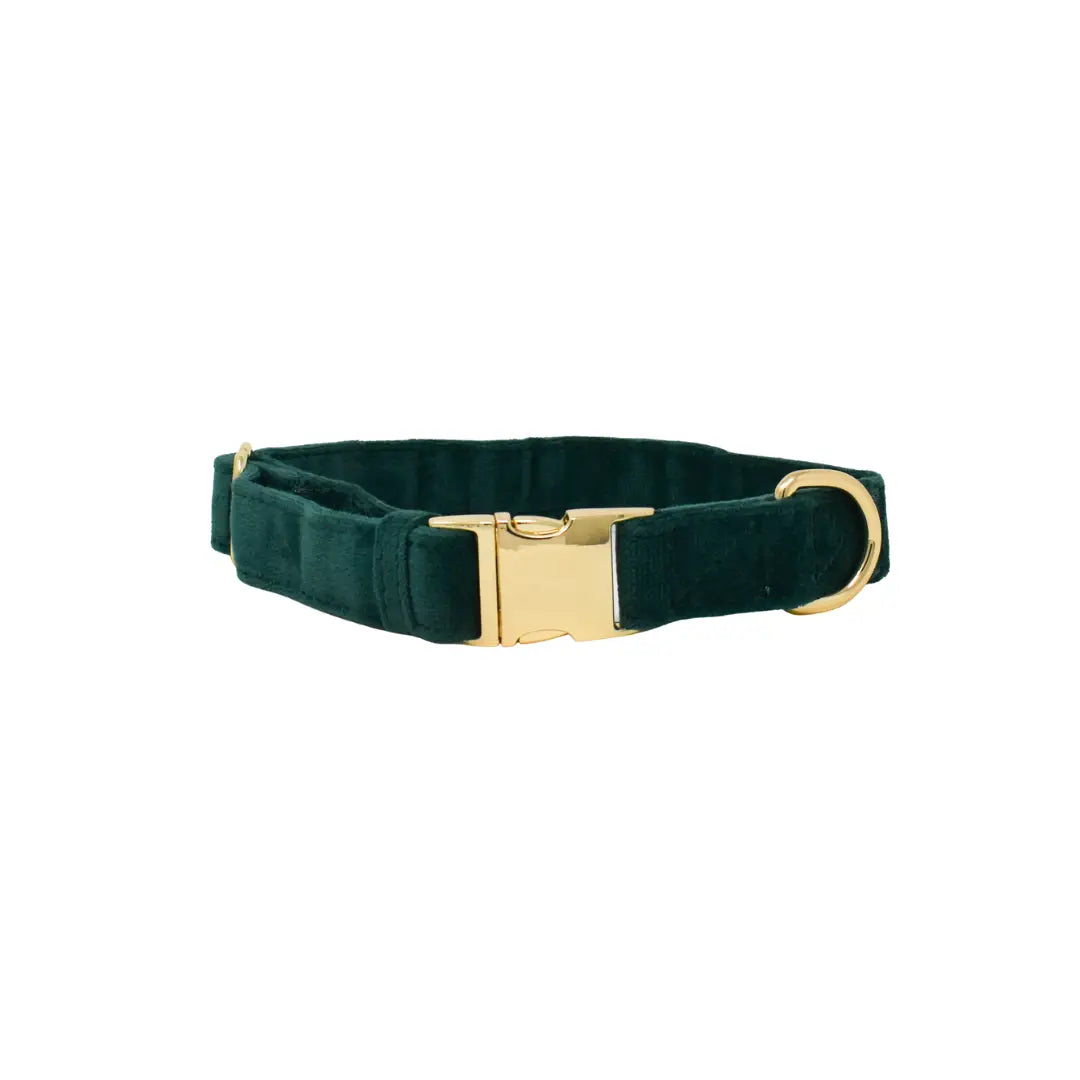 Rue - Forrest Green Velvet Dog Collar
