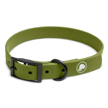 Olive Green Collar
