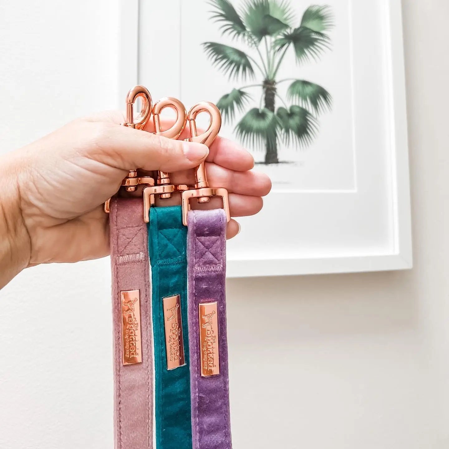 Velvet Dog Lead