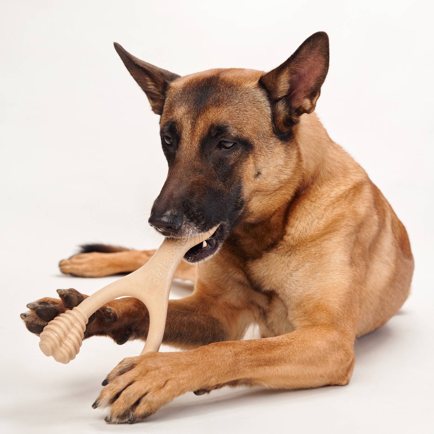 BetterBone MEDIUM -Durable, All-Natural No Nylon Sustainable