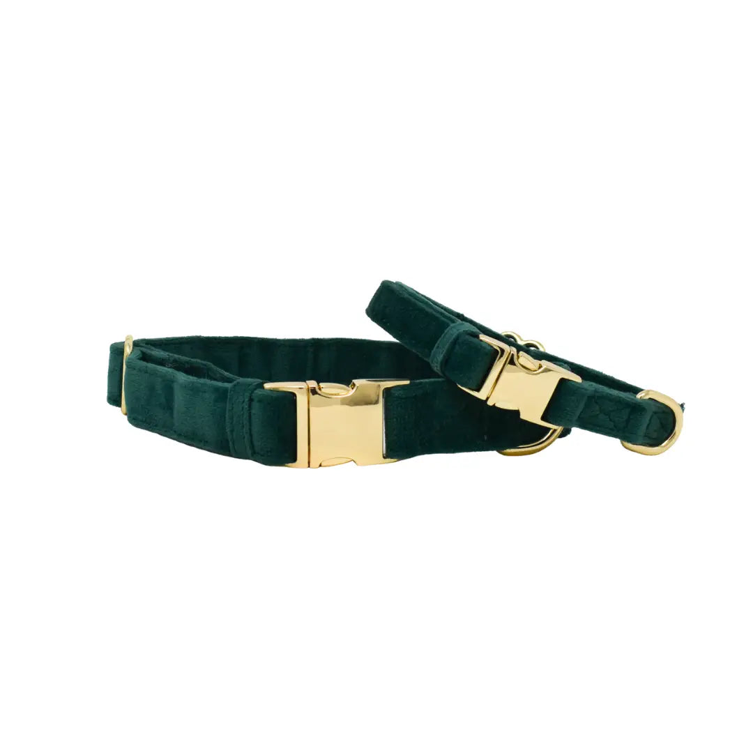 Rue - Forrest Green Velvet Dog Collar
