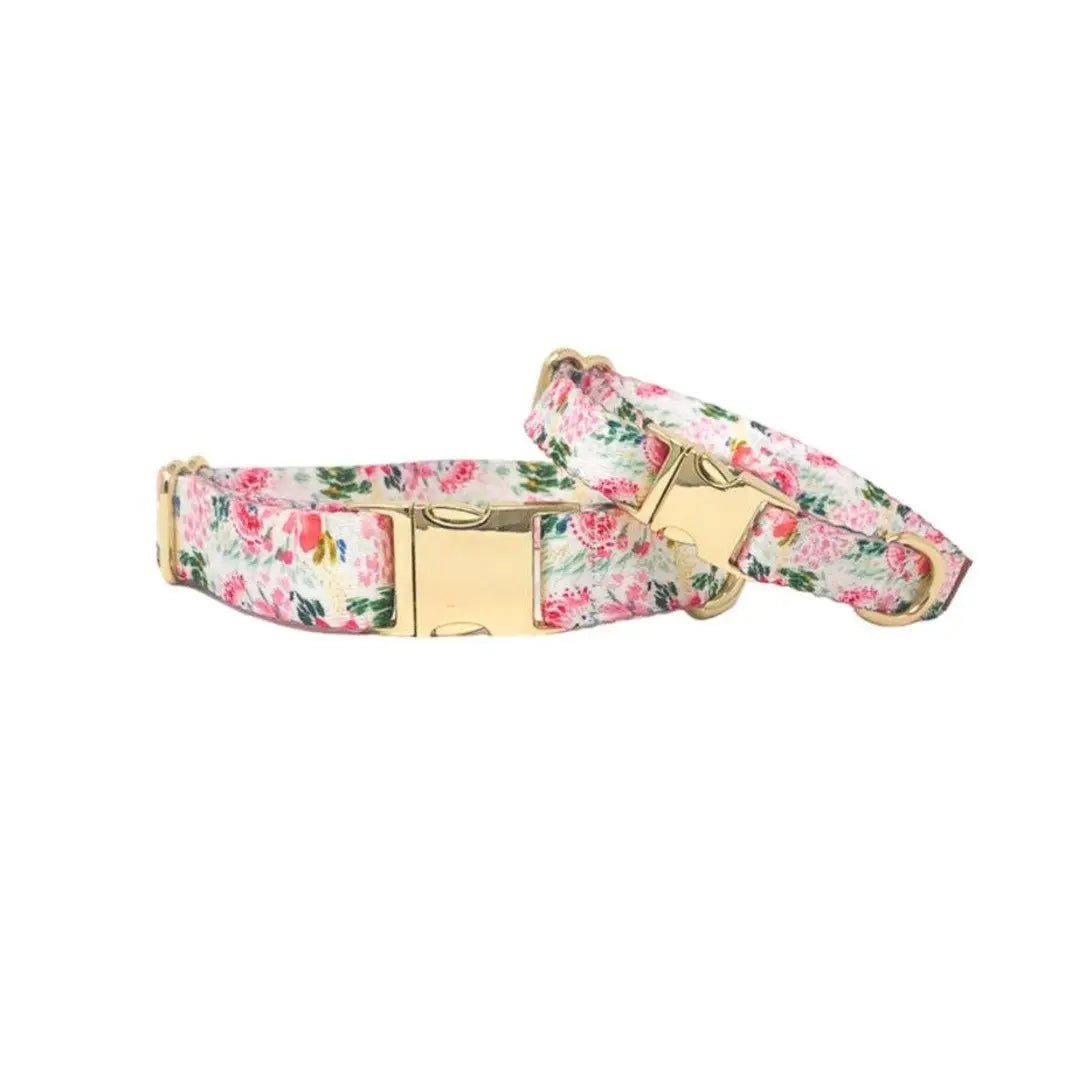Isabella - Floral Dog Collar