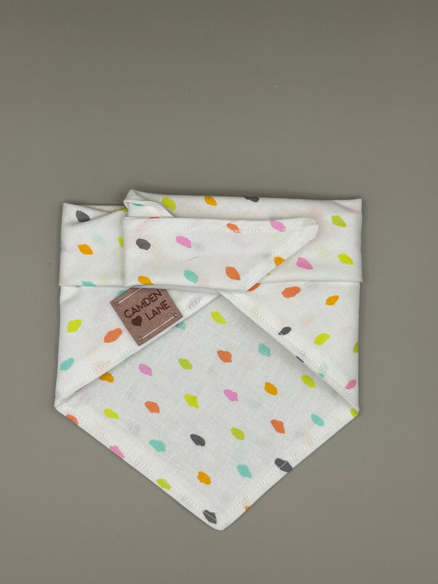 Birthday Boy Bandana