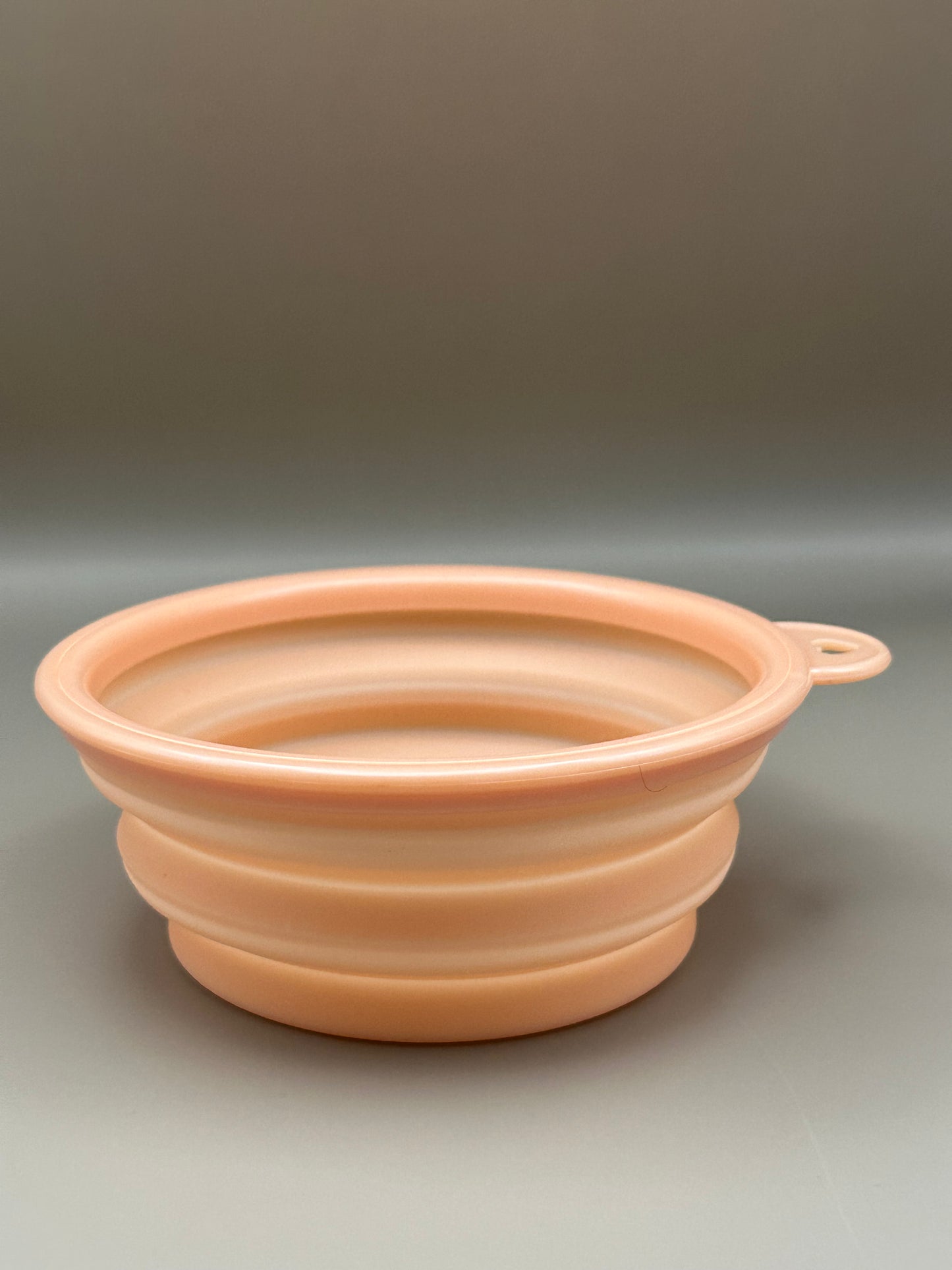Collapsible Water Bowl