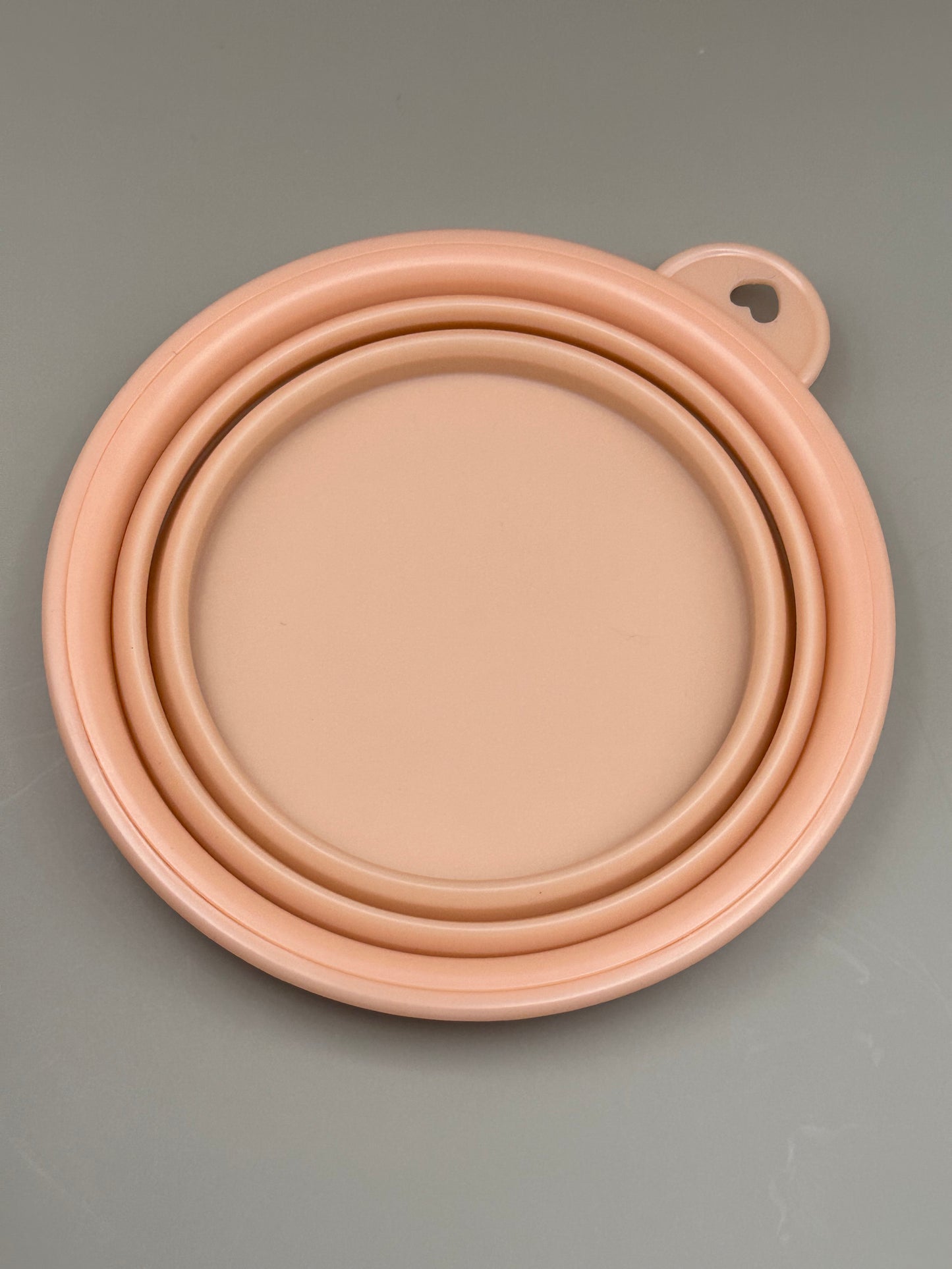 Collapsible Water Bowl