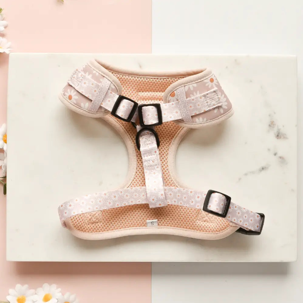 Daisy Chain Adjustable Neck Harness