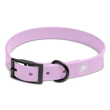 Blush Pink Collar