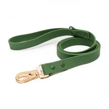 Pine Everyday PVC Leash
