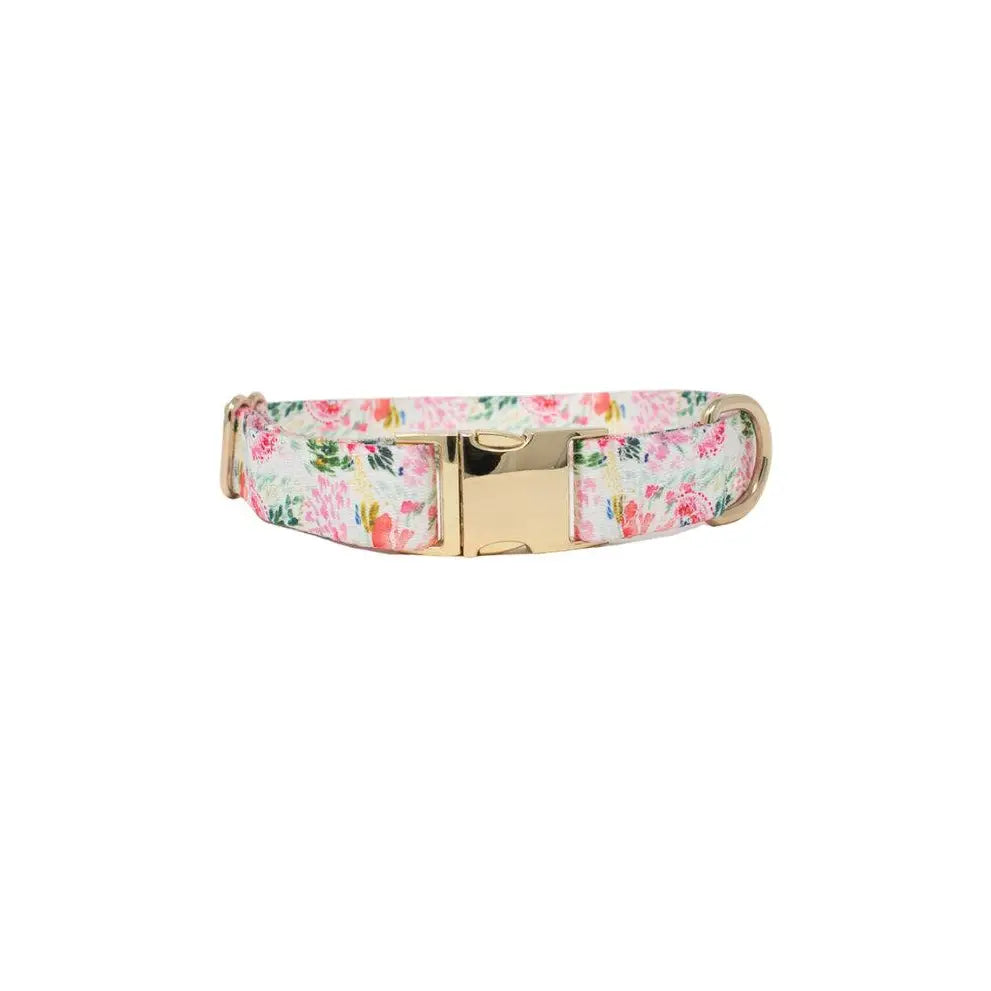 Isabella - Floral Dog Collar