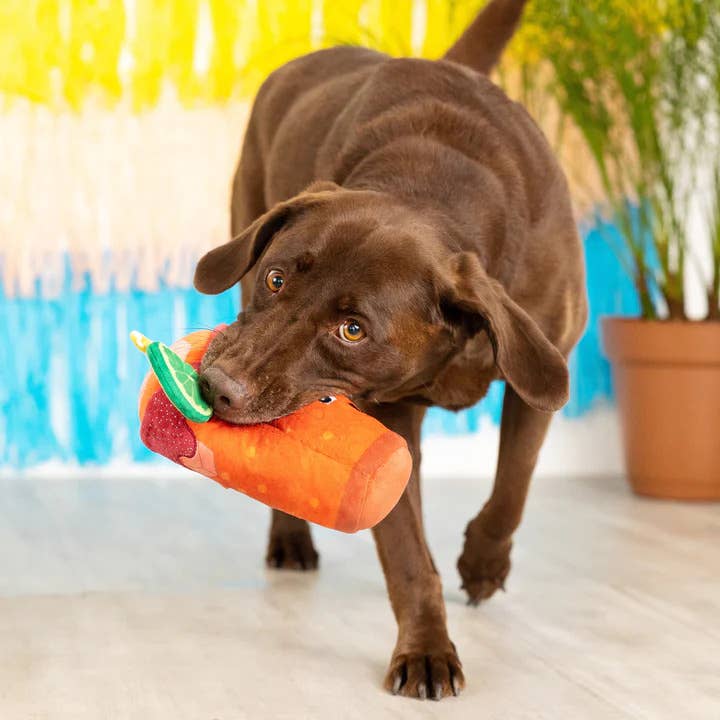 PetShop by Fringe Studio Muttchelada Plush Dog Toy