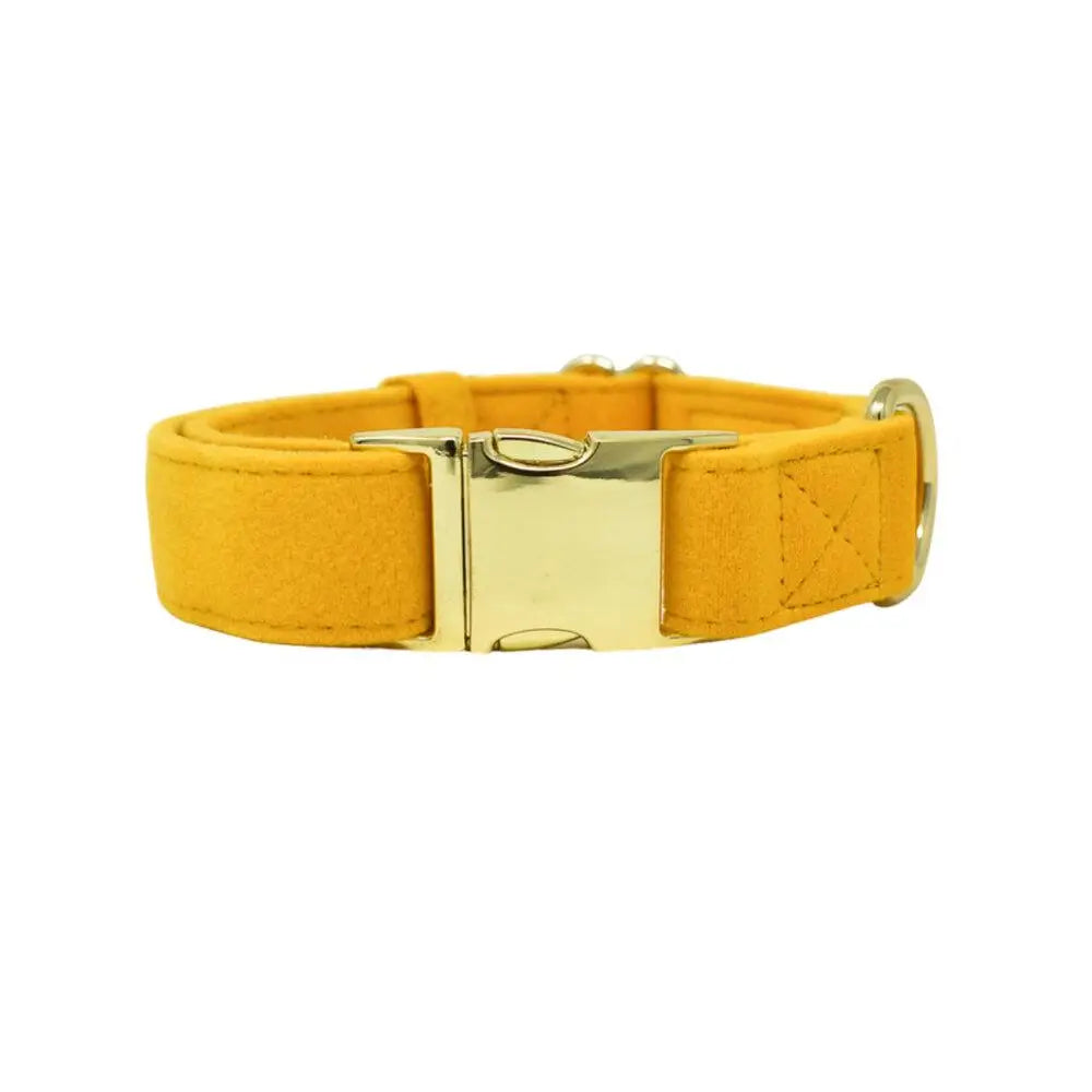 Nova - Mustard Yellow Dog Collar
