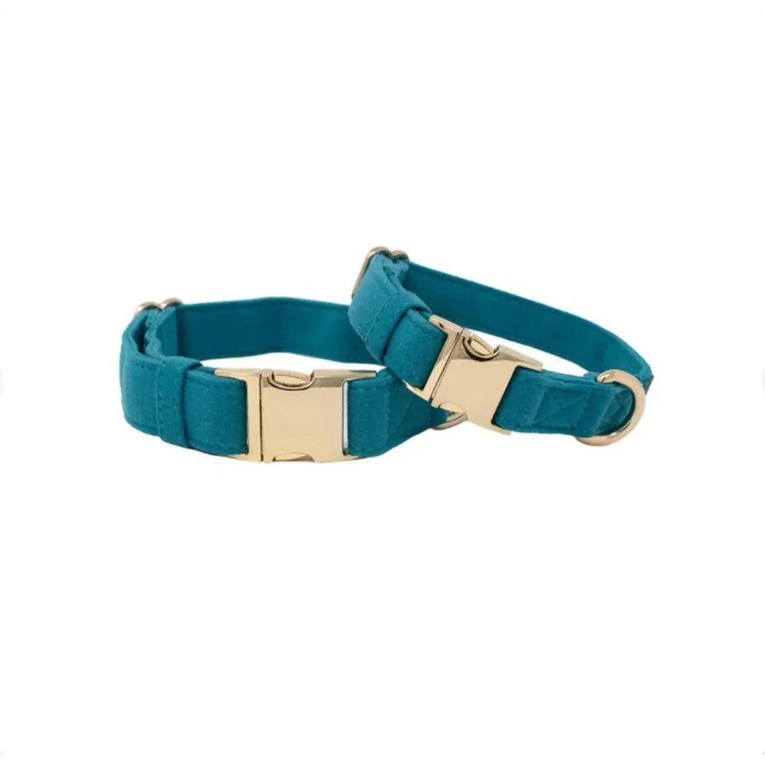 Hayden - Teal Dog Collar