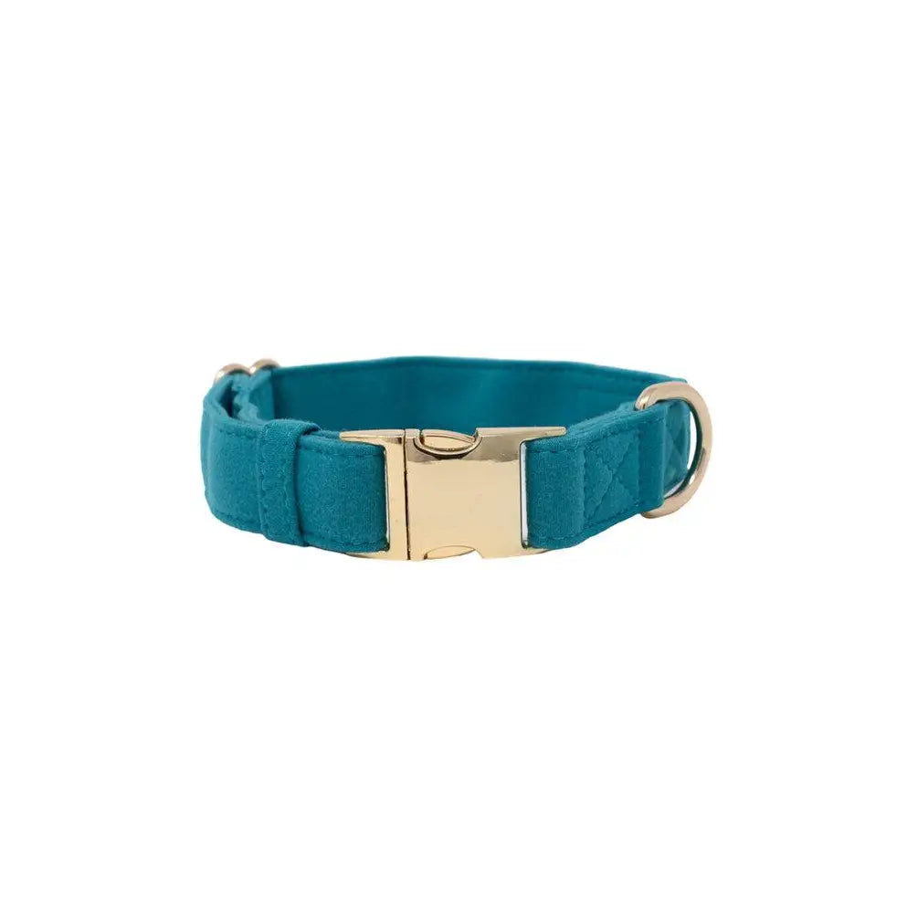 Hayden - Teal Dog Collar