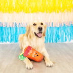 PetShop by Fringe Studio Muttchelada Plush Dog Toy