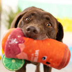 PetShop by Fringe Studio Muttchelada Plush Dog Toy