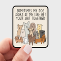 Sometimes My Dog Looks at Me Sticker - puppy, animal, lover