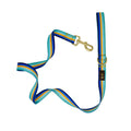 Milo Stripe Dog Leash