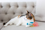 Outer Space Cat Toys, Set of 2