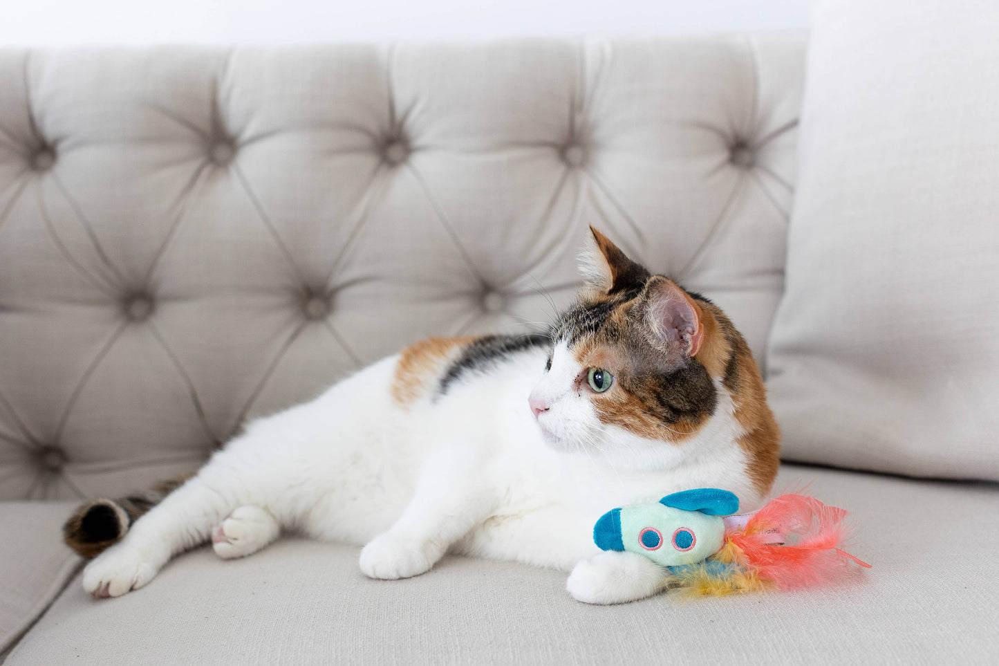 Outer Space Cat Toys, Set of 2
