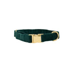 Rue - Forrest Green Velvet Dog Collar