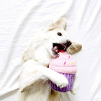 Cupcake - Pink - Dog Toy