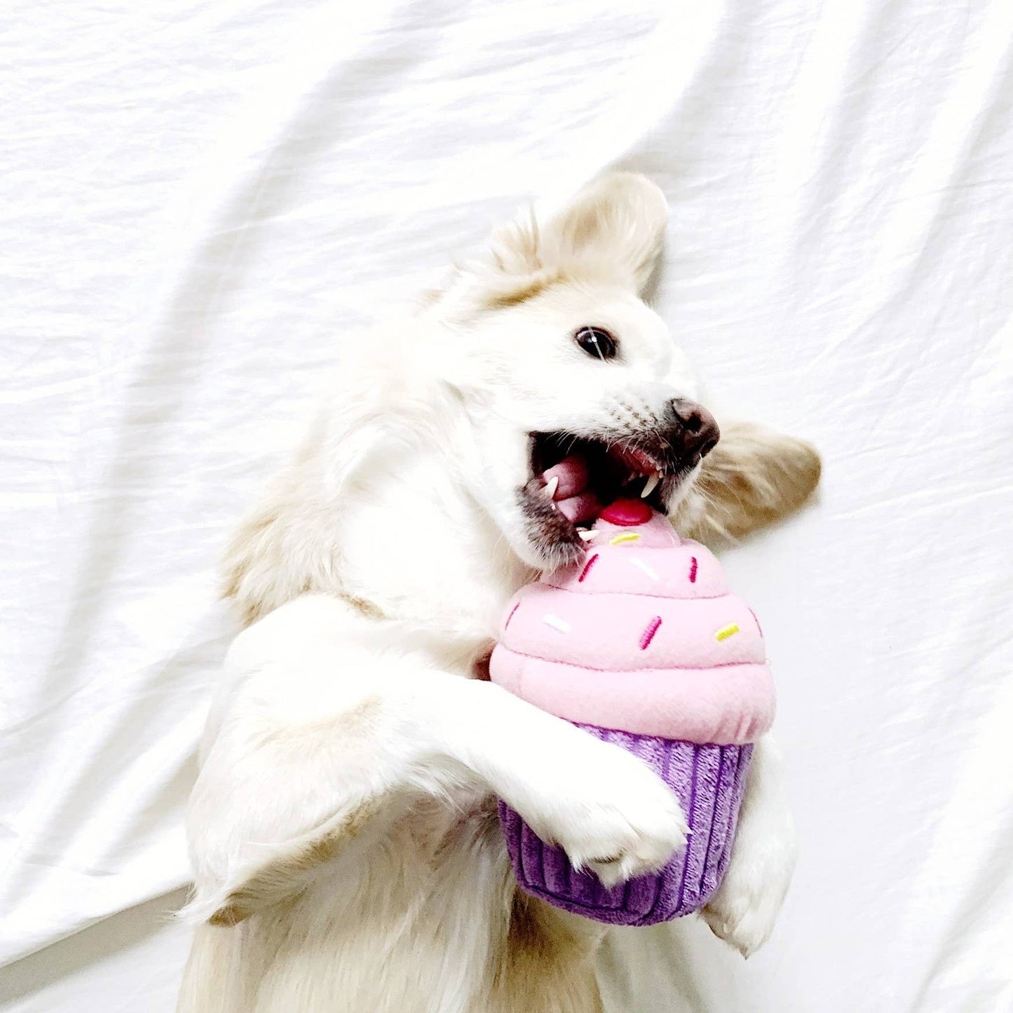 Cupcake - Pink - Dog Toy