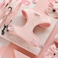 Baby Pink Heart Harness