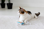 Sardines Cat Toys, Set of 2