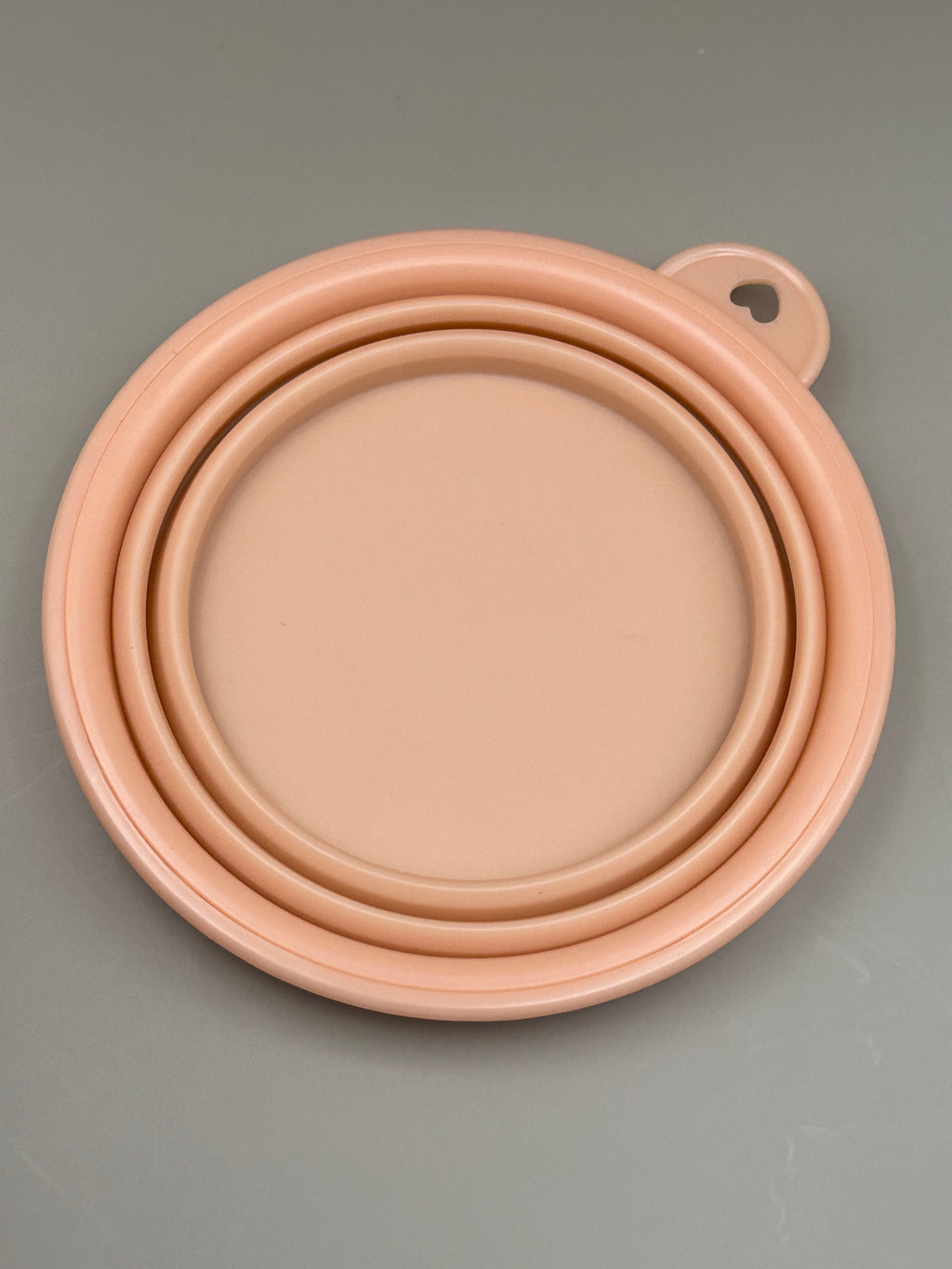 Collapsible Water Bowl