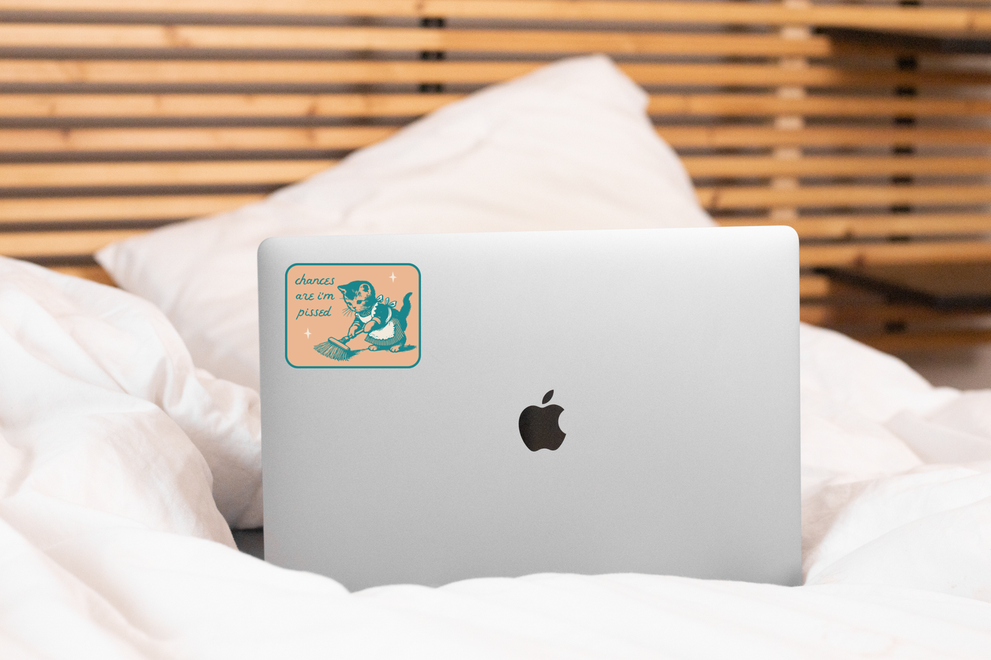 Chances are I'm Pissed Sticker - kitten, domestic, cats