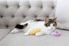 Mouse & Cheese Cat Toys, Set of 2