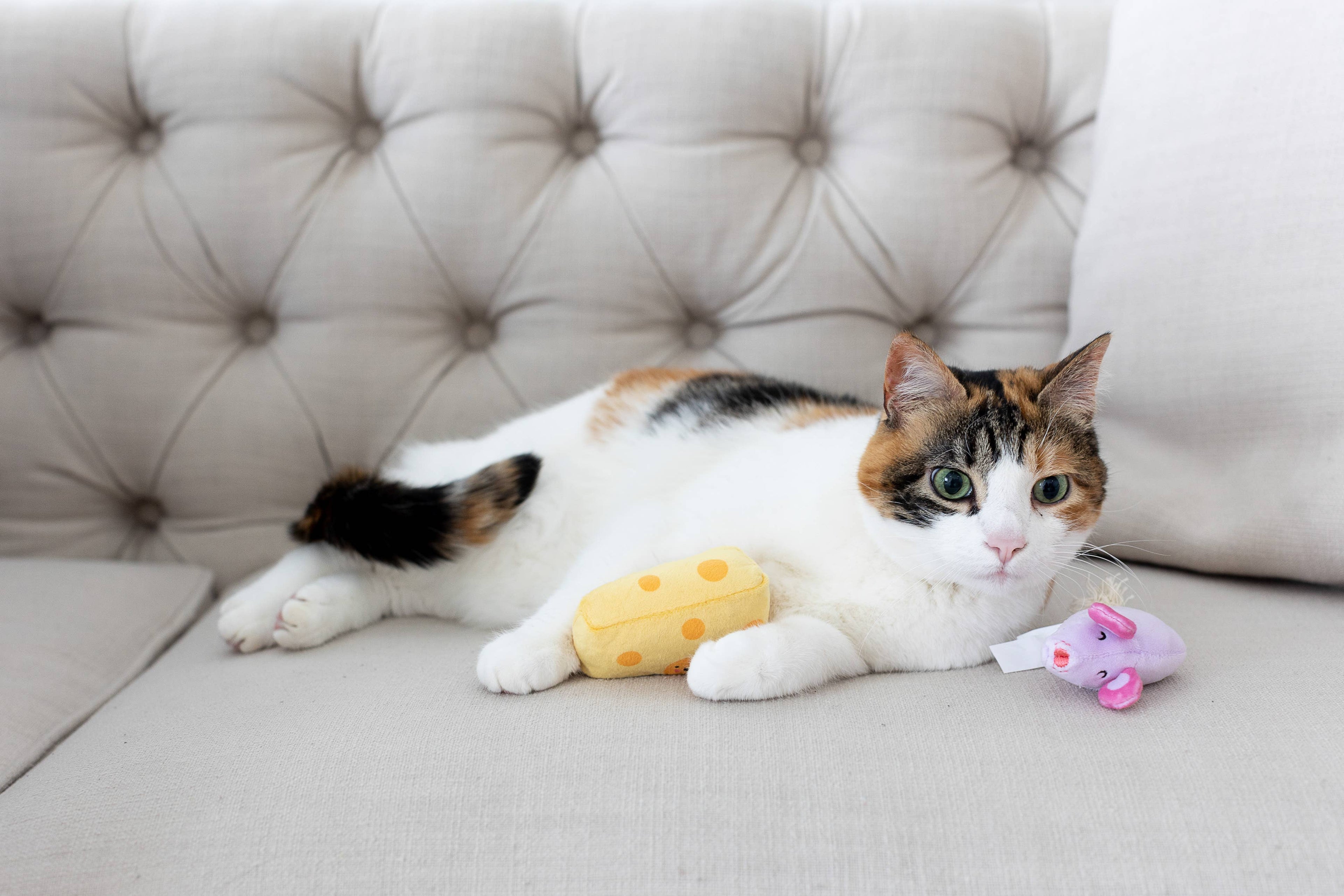 Mouse & Cheese Cat Toys, Set of 2