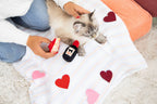 Cheese and Wine Cat Toys, Set Of 2