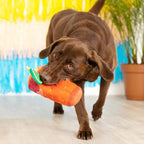 PetShop by Fringe Studio Muttchelada Plush Dog Toy