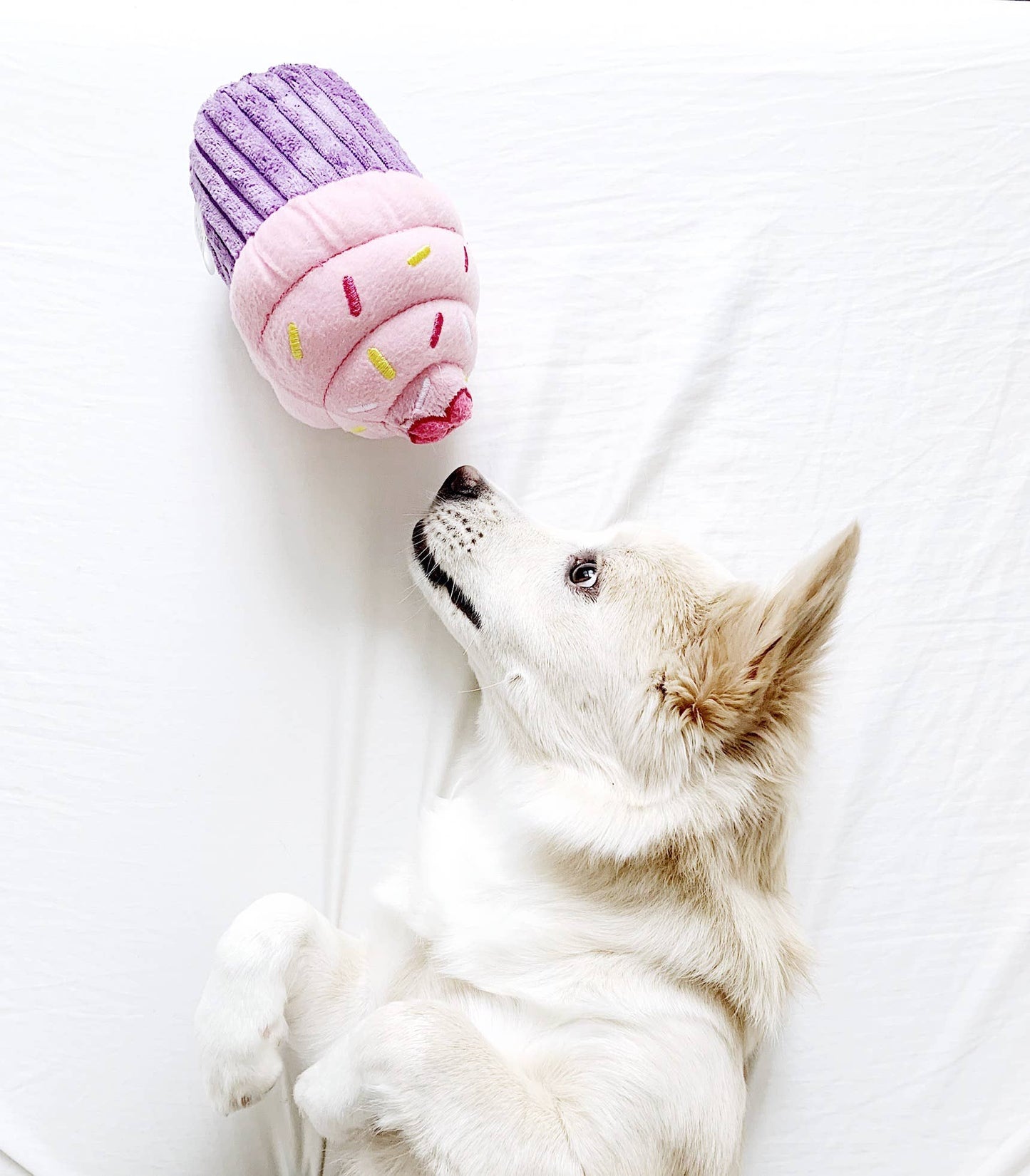 Cupcake - Pink - Dog Toy