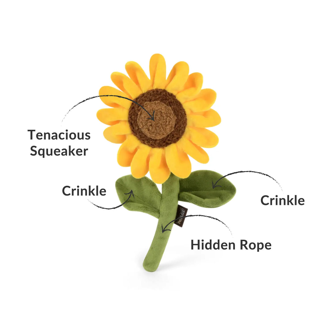Blooming Buddies - Sassy Sunflower